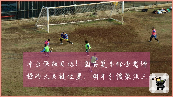冲击保级目标！国安夏季转会需增强两大关键位置，明年引援聚焦三支降级热门队核心球员。